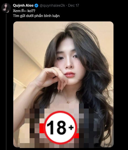 Quỳnh Alee’s Impact on Social Media Quỳnh Alee’s Impact on Social Media