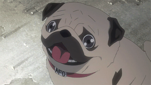 15 GIFs That Perfectly Reflect the Feelings of Anime Fans 7 15tamanhgifphananhhoanhaocamgiaccuafanhammoanime 6