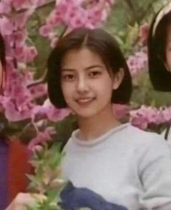 National Goddess: 20 Years of Unchanged Beauty, More Beautiful than Liu Yifei 1 Gao Wenwen, the national idol, at 20 years old, still maintains her beauty.