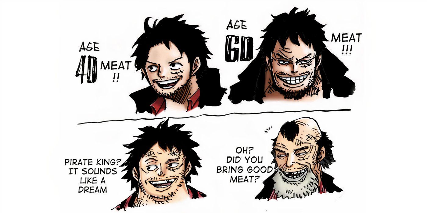 One Piece: What the Straw Hat Crew Will Look Like in the Future 8 One Piece: Future appearance of Luffy.