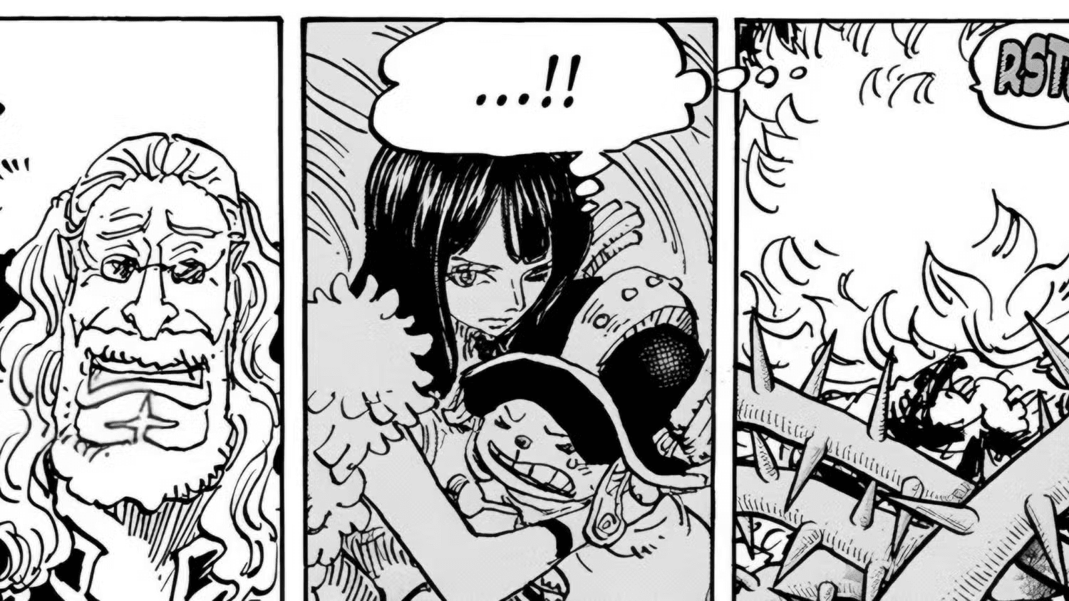 One Piece: Elbaf Will Witness the Highest Number of Characters "Fading Away" Ever? 2 photo 1746672058530 1746672058714631119521