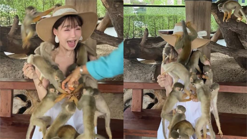 Traveling, beautiful female YouTuber encounters unexpected incident 5 Yuan Yuan during a trip, beautiful YouTuber meets lively animals