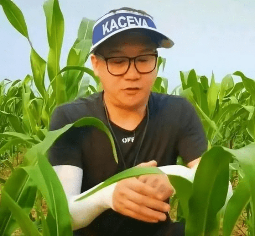 Cao Ho's return to farming. Cao Ho's return to farming.