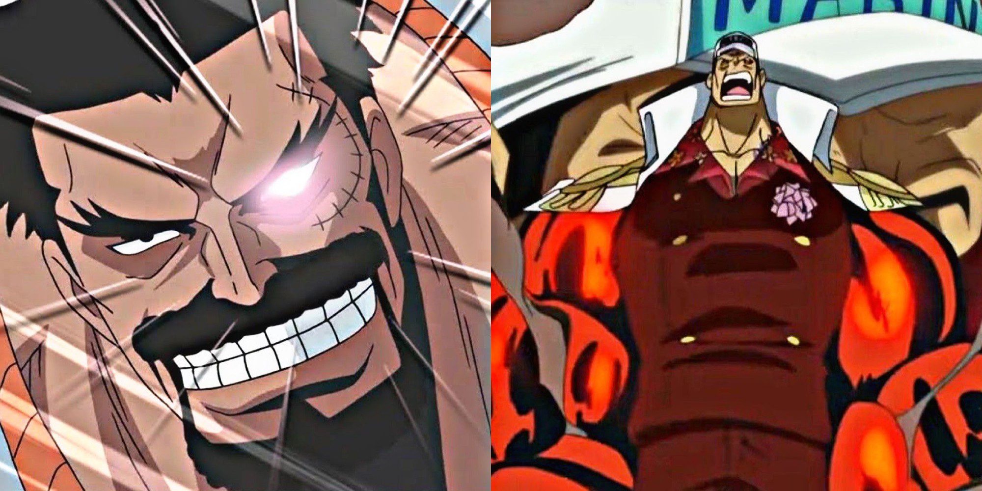Garp and Akainu with Conqueror's Haki Garp and Akainu with Conqueror's Haki